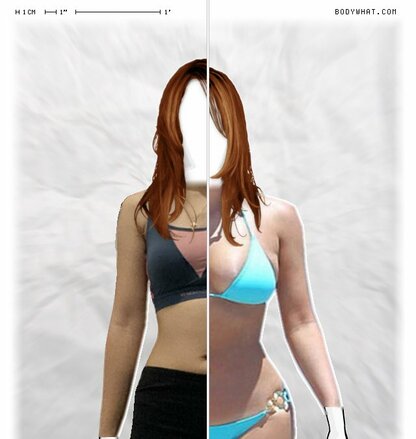 Torso Comparison