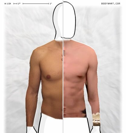 Torso Comparison