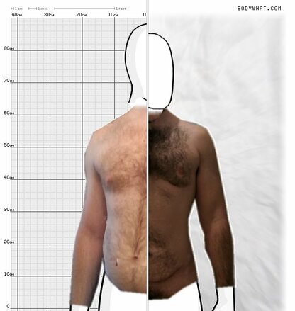 Torso Comparison