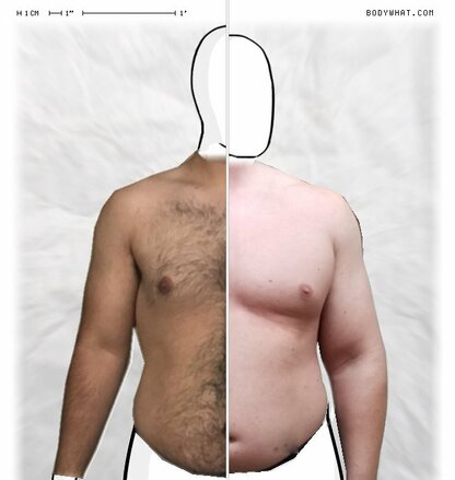 Torso Comparison