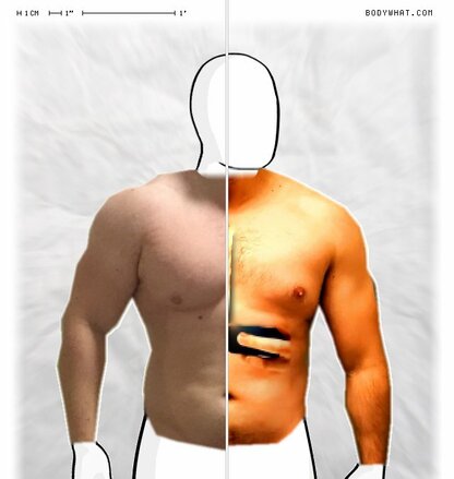 Torso Comparison