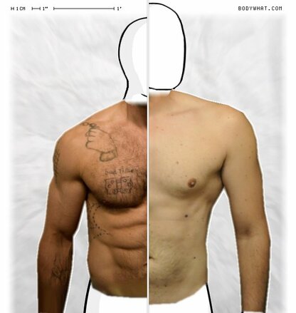 Torso Comparison