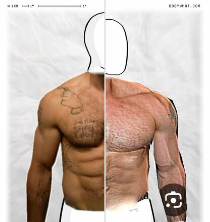 Torso Comparison