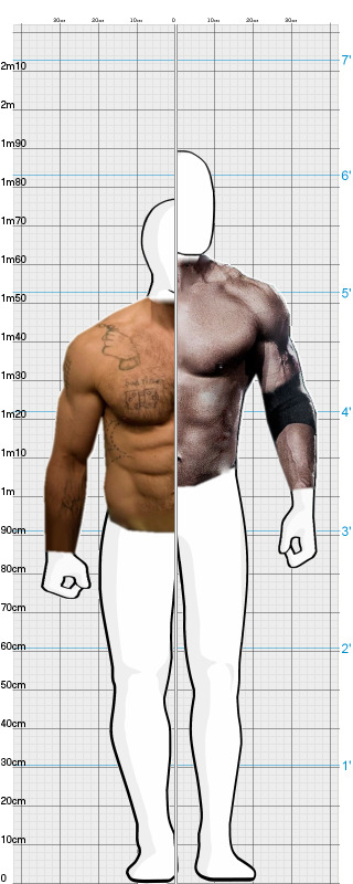 The Rock Height Comparison ✓ 