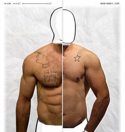 Torso Comparison