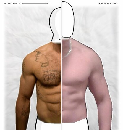 Torso Comparison
