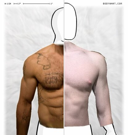 Torso Comparison