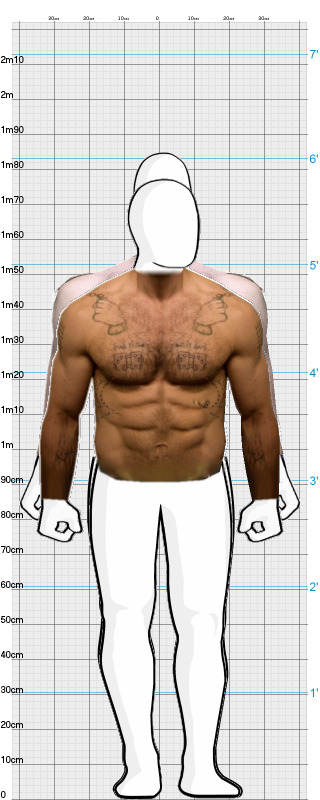 Full Size Comparison