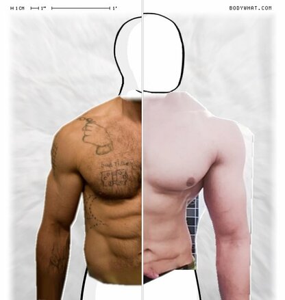 Torso Comparison