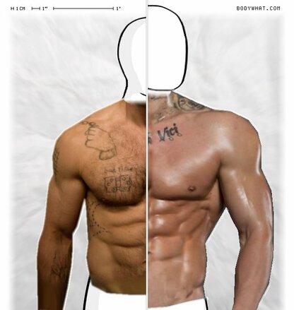 Torso Comparison