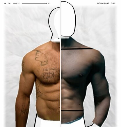 Torso Comparison