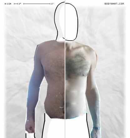 Torso Comparison