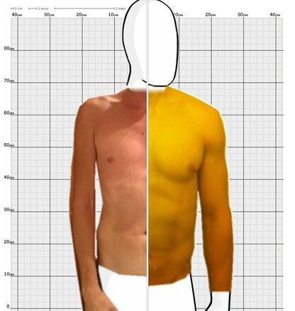 Torso Comparison