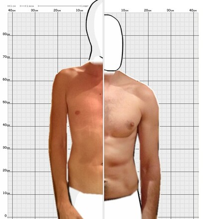 Torso Comparison