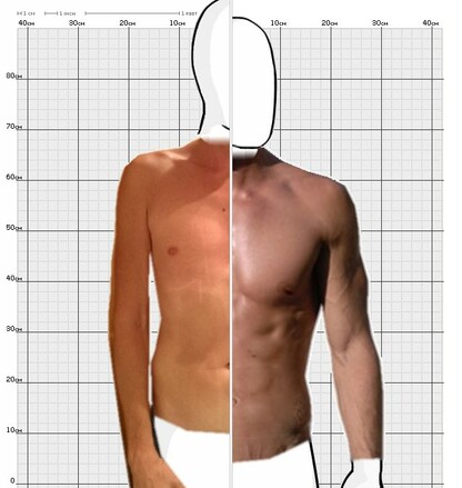 Torso Comparison