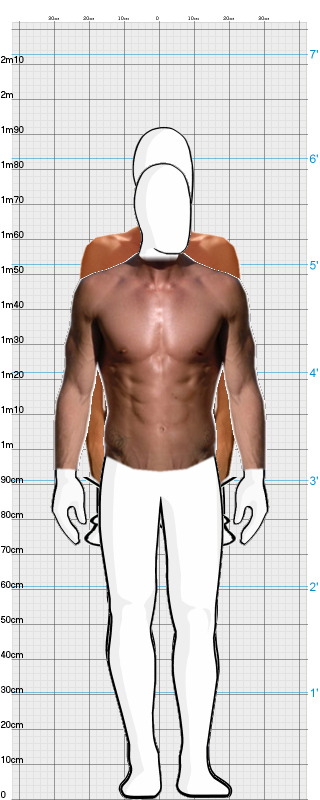 Full Size Comparison