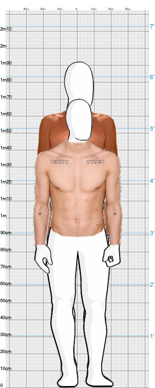 Full Size Comparison