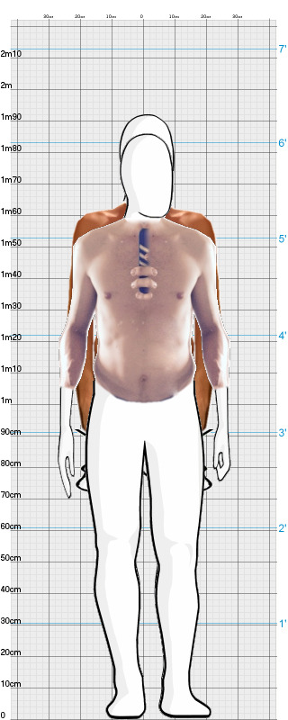Full Size Comparison