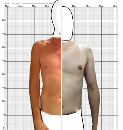 Torso Comparison