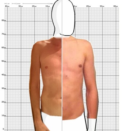 Torso Comparison