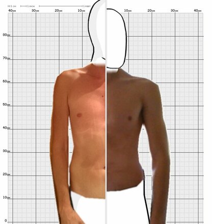 Torso Comparison