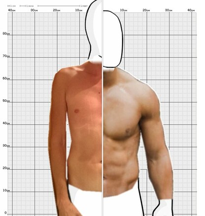 Torso Comparison