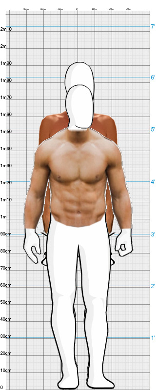Full Size Comparison