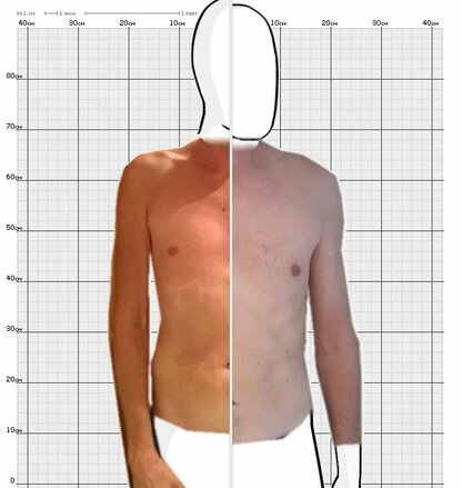 Torso Comparison