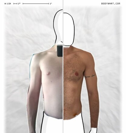 Torso Comparison