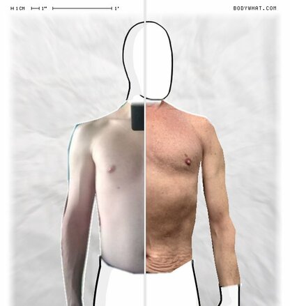 Torso Comparison