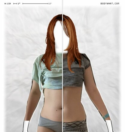 Torso Comparison