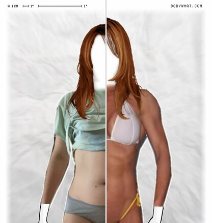 Torso Comparison