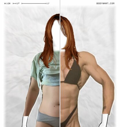 Torso Comparison