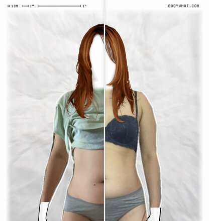 Torso Comparison