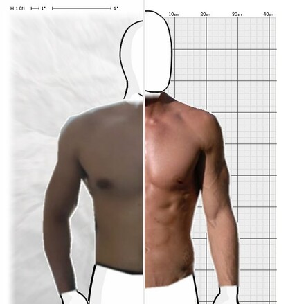 Torso Comparison