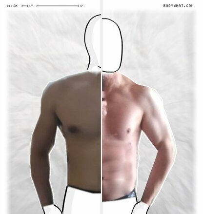 Torso Comparison