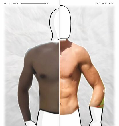 Torso Comparison