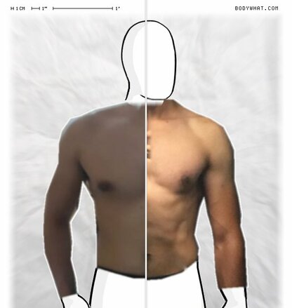 Torso Comparison