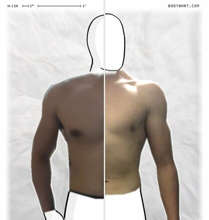 Torso Comparison