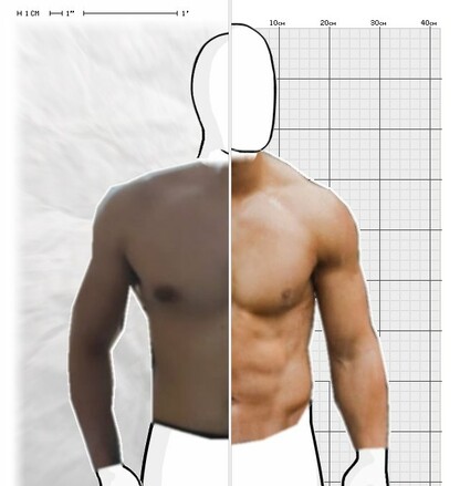 Torso Comparison