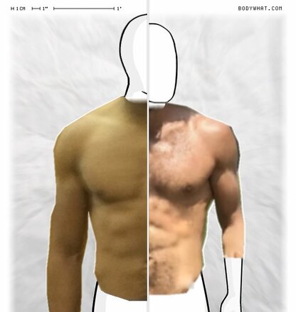 Torso Comparison
