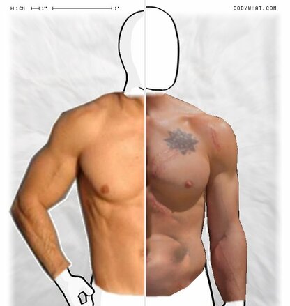 Torso Comparison