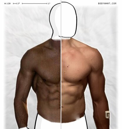 Torso Comparison