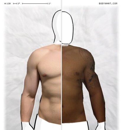 Torso Comparison