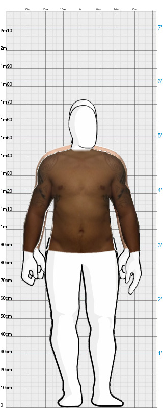 Full Size Comparison
