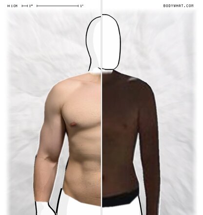Torso Comparison