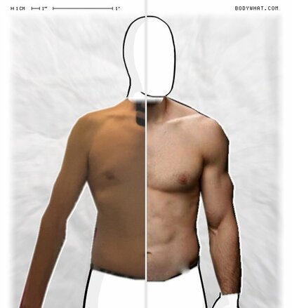 Torso Comparison