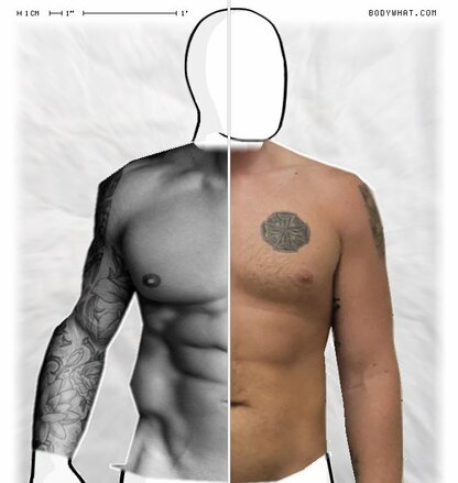 Torso Comparison