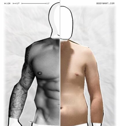 Torso Comparison