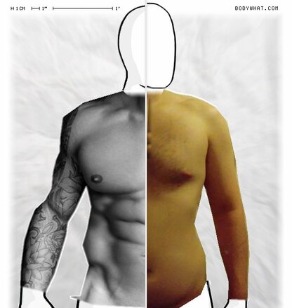 Torso Comparison